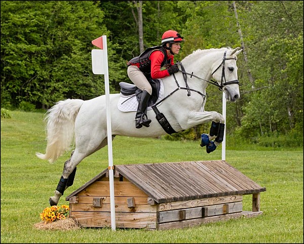 GMHA June Horse Trials XC Only