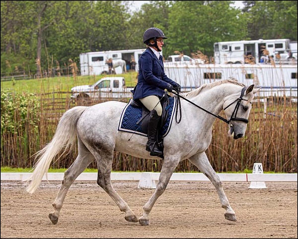 Course Brook Farm Schooling Event 5/19