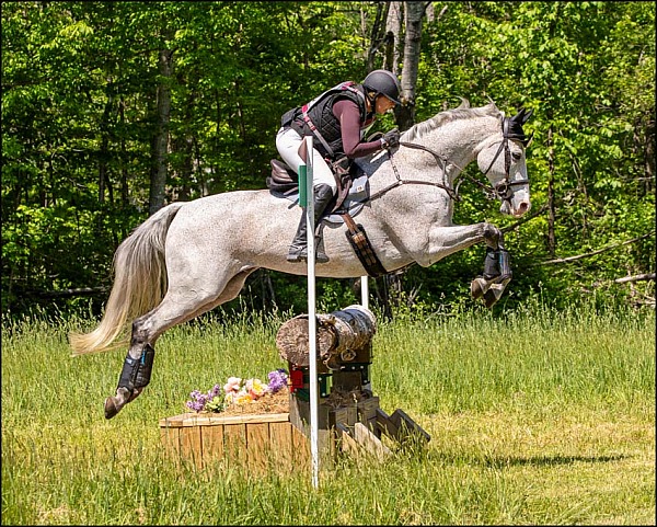 GMHA June Horse Trials XC Only