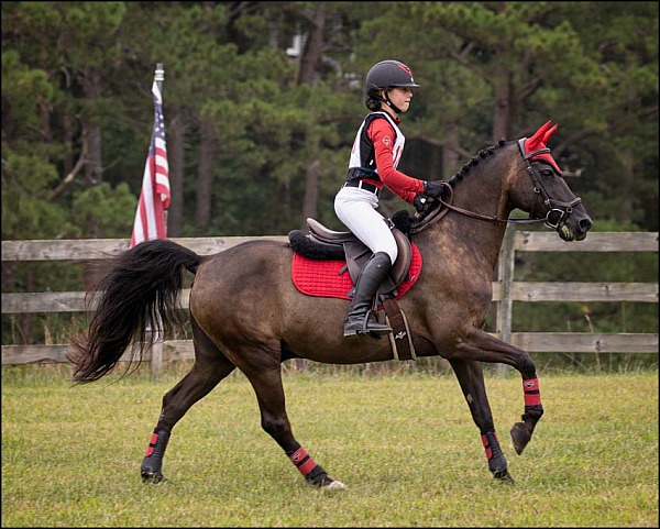 Valinor Farm August Schooling Horse Trials