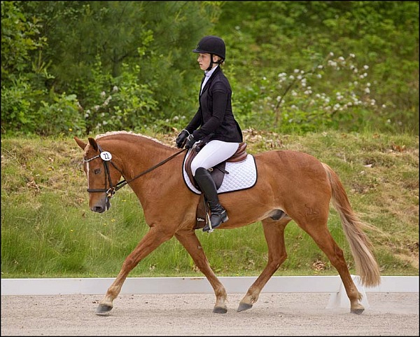 Apple Knoll Farm June Horse Trials 2025