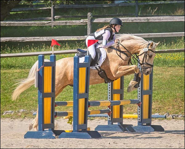 Course Brook Farm July HT 2025