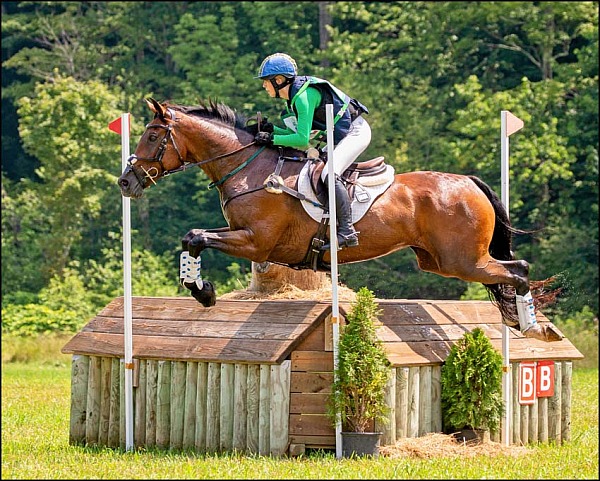GMHA Festival of Eventing XC only