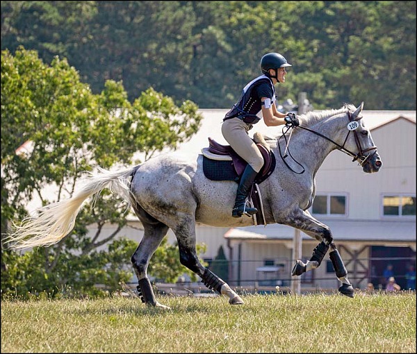 Valinor Farm August Schooling Event 