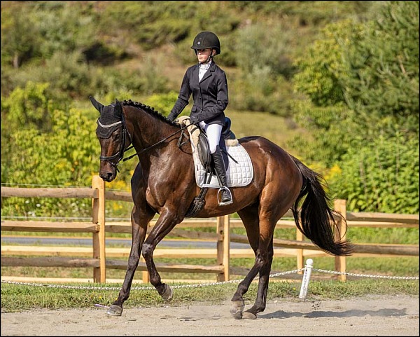 Huntington Farm Aug HT 2025