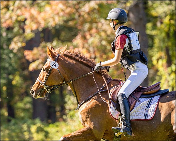 Course Brook Farm September 2025