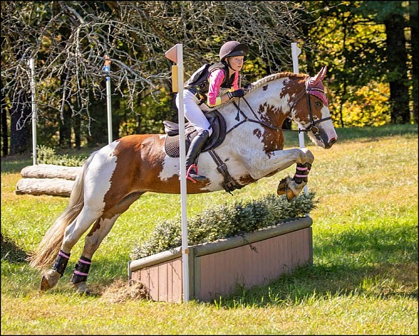 Apple Knoll Farm Oct HT 2025