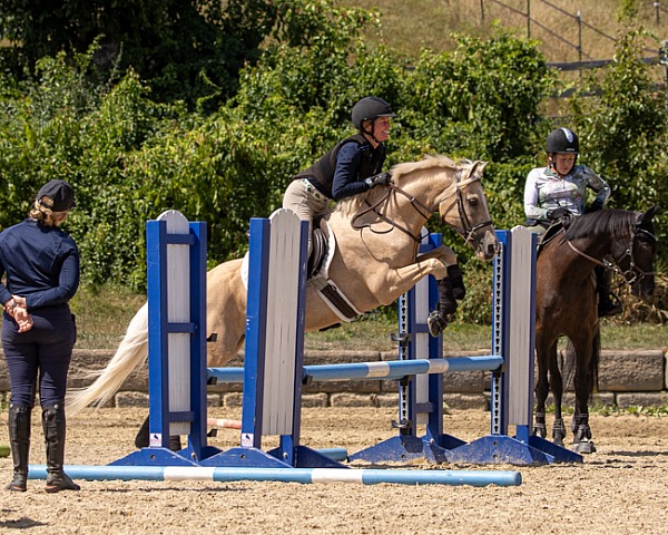 Sharon White at Scarlet Hill