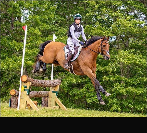 2026 Competition Proofs