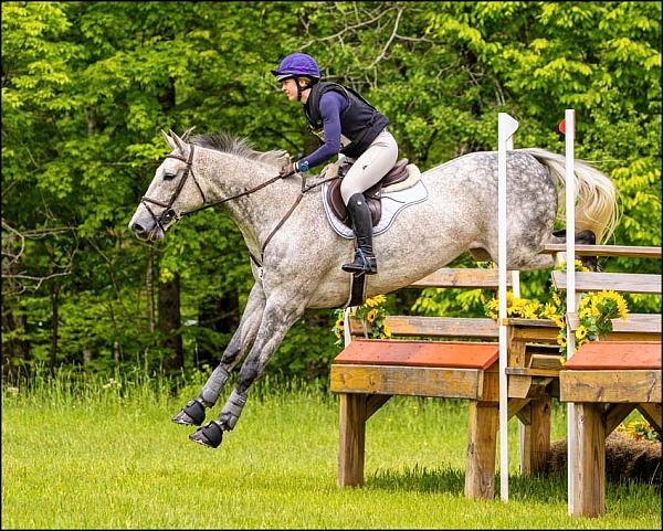 GMHA June Horse Trials XC Only