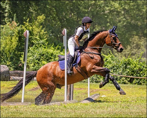Course Brook Farm July HT 2026