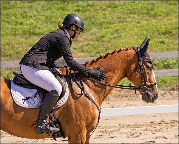 Valinor Farm August Schooling Event 